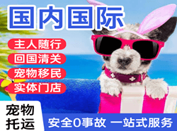 毕节飞雄航空快递国际宠物托运 【国